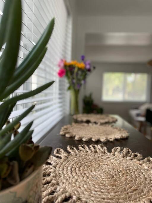 Jungle Cottage With Luxury Pool, Hot Tub And More! Lake Worth Beach Eksteriør billede